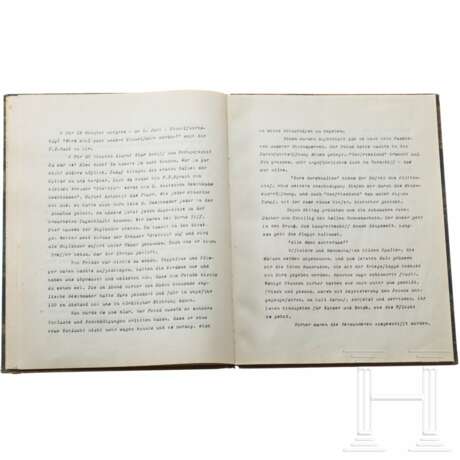 Tagebuch eines deutschen Seeoffiziers und Bild von Claus Bergen zur Skagerrak-Schlacht 1916 - Foto 3