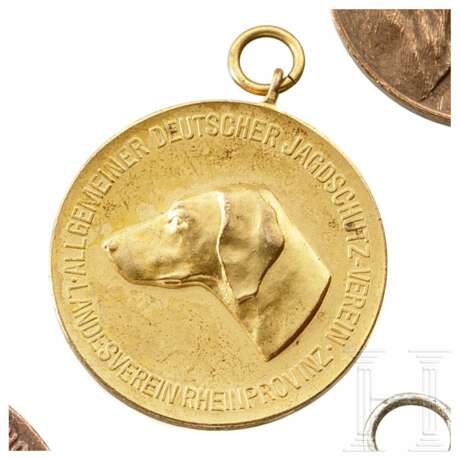 Elf Preise/Medaillen für Hundezucht - photo 3
