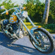 Tom Blackwell. Naples Custom Chopper - Auktionspreise