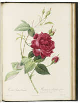REDOUTE, Pierre-Joseph (1759-1840) and Claude Antoine THORY (1759-1827)