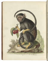 EDWARDS, George (1694-1773)