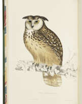 GOULD, John (1804-1881) and Nicholas Aylward VIGORS (1787-1840)