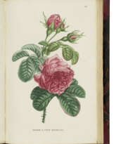 JAUME SAINT-HILAIRE, Jean Henri (1772-1845)