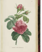 Антикварные книги. JAUME SAINT-HILAIRE, Jean Henri (1772-1845)