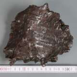 Meteorit Shikote-Alin - фото 2