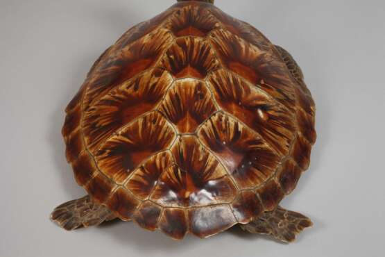 Tierpräparat Grüne Meeresschildkröte - Foto 4
