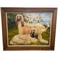 Portrait Afghan Hound Dogs Oil Painting