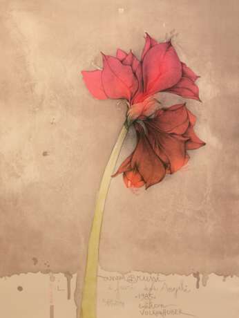 Bruni, Bruno (geb. 1935 in Gradara/Italien) "Amaryllis", Edition Volker Huber 1985, Farblitho., EA, mit Bleistift sign., 79x57 cm, im Passepartout hinter Glas und Rahmen - photo 1