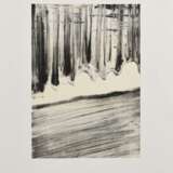 Bächli, Silvia (*1956) "o.T." 2003, Lithographie, u.r. monogr./dat., Griffelkunst, PM 34,5x27,2cm, BM 54x39cm - photo 2