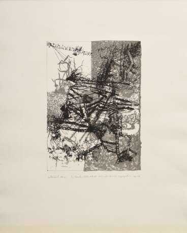 Claus, Carlfriedrich (1930-1998) "Bruch-Stückwechsel" 1989, Lithographie, EA, u. sign./dat./bez., PM 27,8x19,6cm (m.R. 73x53cm), u. lichtrandig - фото 2