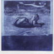 Ernst Fuchs - Auktionspreise