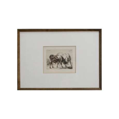 Gravure Taureaux Engraving 19th century - Foto 1