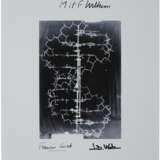 THE DOUBLE HELIX OF DNA - Foto 1