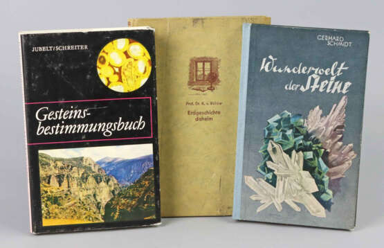 3 Gestein- und Erdgeschichte Bücher - photo 1