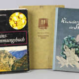 3 Gestein- und Erdgeschichte Bücher - photo 1