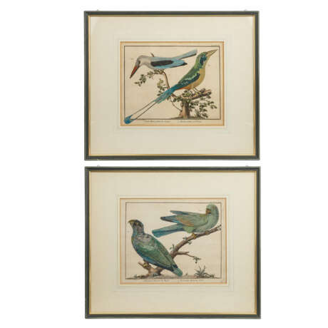 2 kolorierte Kupferstiche, um 1780. - Foto 1