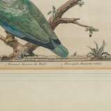 2 kolorierte Kupferstiche, um 1780. - photo 3