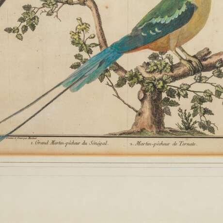 2 kolorierte Kupferstiche, um 1780. - Foto 5