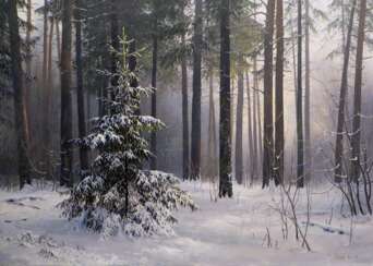Dans une forêt d'hiver
