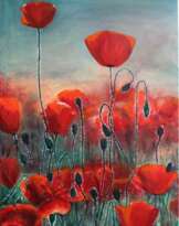 Field of poppies Field of poppies