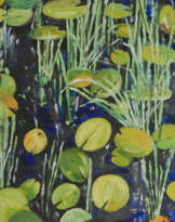 waterlilies waterlilies