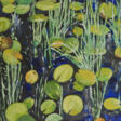 waterlilies - Achat en un clic