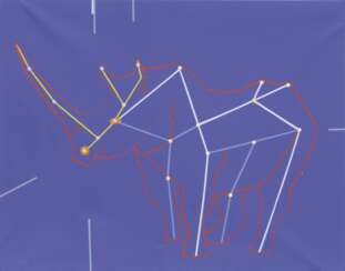 Die Konstellation des Nashorns
