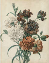 Pierre Joseph Redouté, Art des