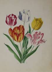 Tulpen.