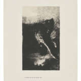 ODILON REDON (1840-1916) - photo 9