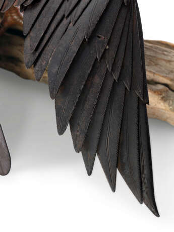 AN IRON ARTICULATED SCULPTURE OF A CROW - Foto 5