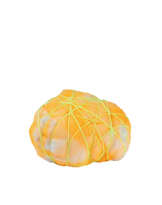 Berta Fischer. Untitled