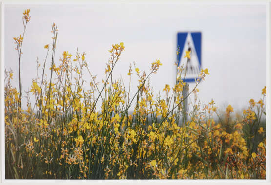 Hans Haacke. Ohne Titel - Foto 2