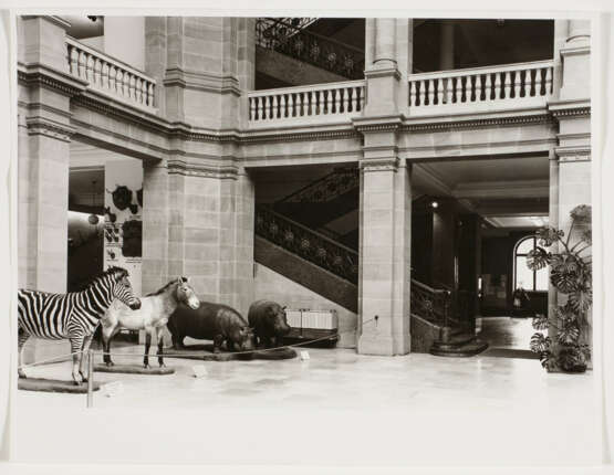 Candida Höfer. Museum König, Bonn - Foto 2