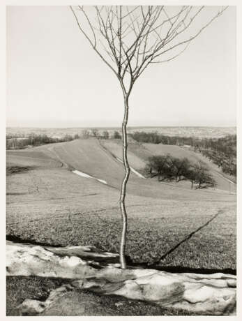 Albert Renger-Patzsch. Das Bäumchen (zwischen Meißen und Dresden) - photo 1