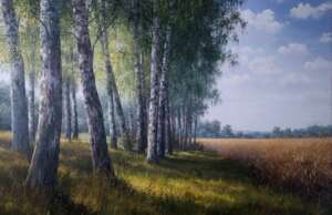 In the shade of birches