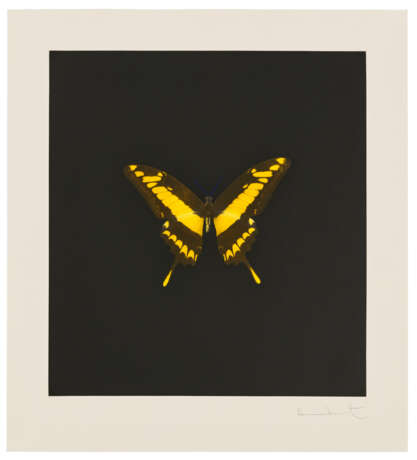 DAMIEN HIRST (B. 1965) - Foto 1