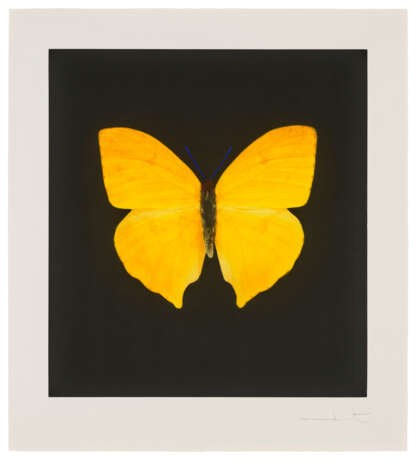 DAMIEN HIRST (B. 1965) - Foto 1