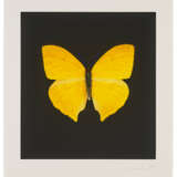 DAMIEN HIRST (B. 1965) - Foto 1