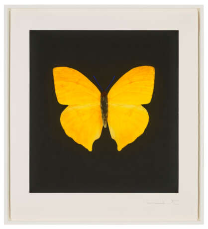 DAMIEN HIRST (B. 1965) - Foto 2