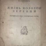 [Экз Н.С. Бередгофа]. Князев, В.В. Жизнь молодой деревни: Частушки-коротушки С.-Петербургской губернии / В. Князев. - Foto 1