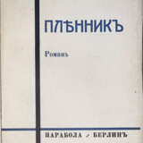 Ирецкий, В.Я. Пленник: Роман / В Ирецкий. - Foto 1