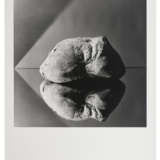 ROBERT MAPPLETHORPE (1946-1989) - photo 1