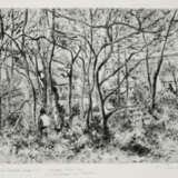 CAMILLE PISSARRO (1830-1903) - photo 1