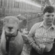 GARRY WINOGRAND (1928-1984) - Prix ​​des enchères