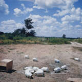 WILLIAM EGGLESTON (B. 1939) - Foto 1