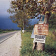 WILLIAM EGGLESTON (B. 1939) - Auktionspreise