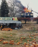 Джоэл Стернфельд. JOEL STERNFELD (B. 1944)