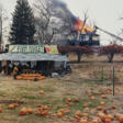 JOEL STERNFELD (B. 1944) - Аукционные цены