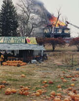 JOEL STERNFELD (B. 1944)